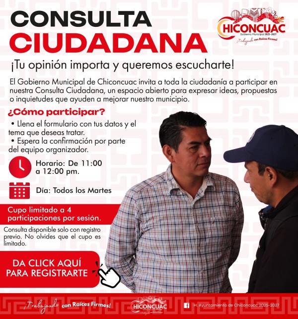 consulta ciudadana